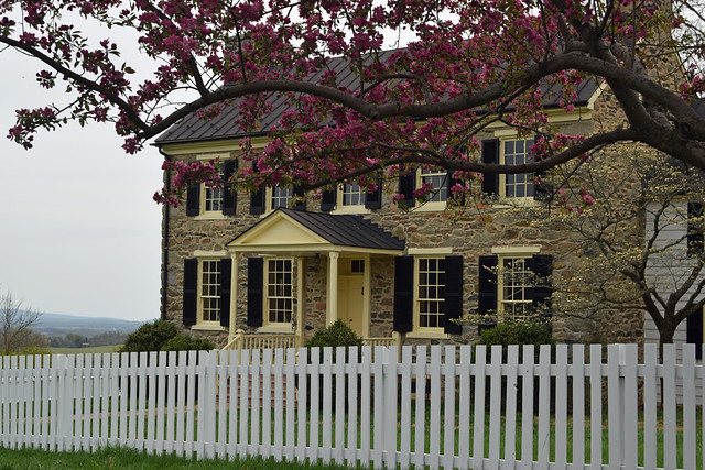 Agency Photo  (131991)