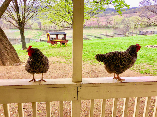 Agency Photo  (131992)