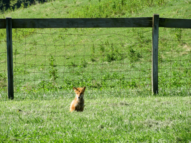 Agency Photo  (131995)