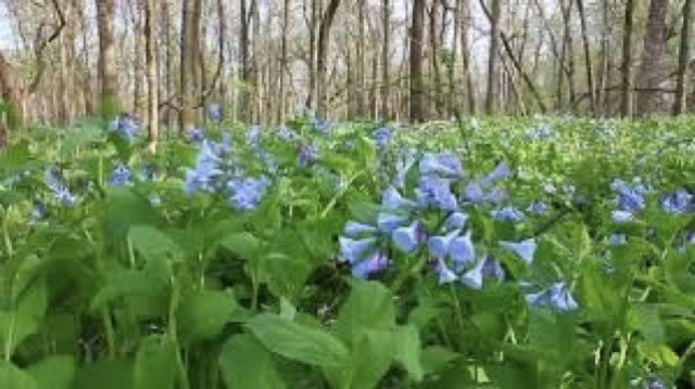 Agency Photo  (146754)