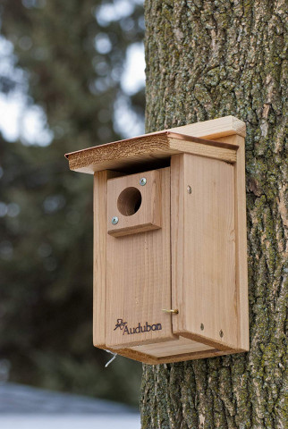 Agency Photo  (146759)