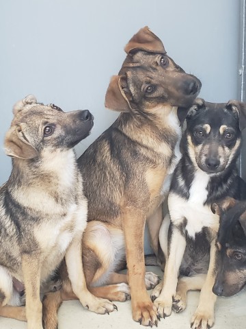 Agency Photo  (206587)
