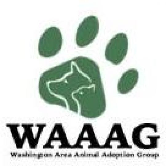 Agency Logo