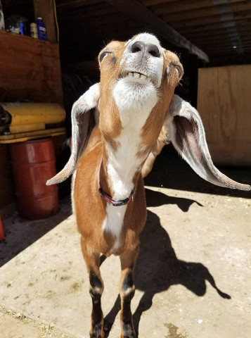 Organization Photo  (173132)