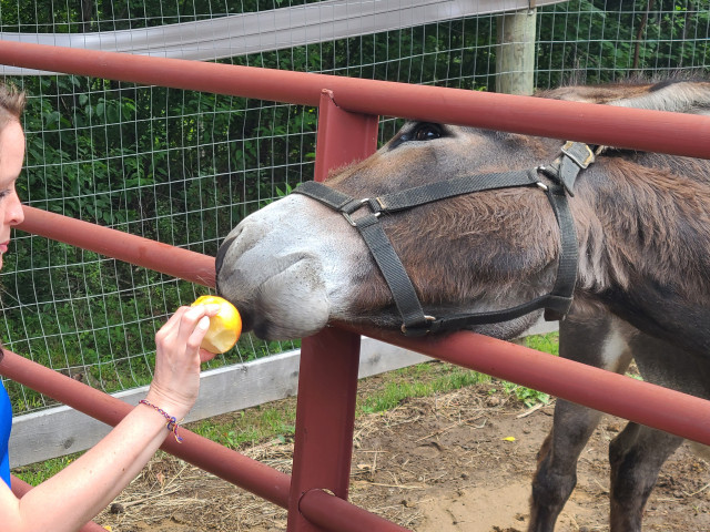 Organization Photo  (173130)