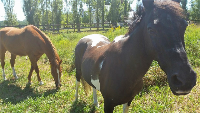 Organization Photo  (145610)