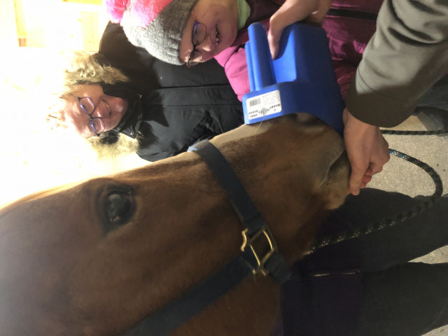 Organization Photo  (145620)