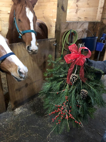 Organization Photo  (145599)