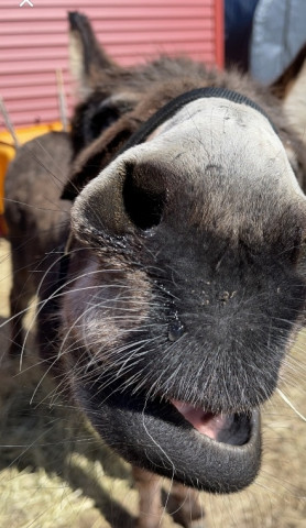 Organization Photo  (173131)