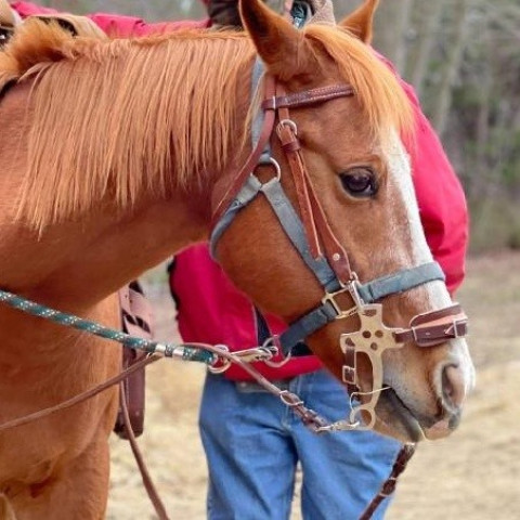 Organization Photo  (173135)