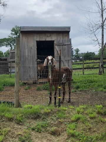 Organization Photo  (173129)