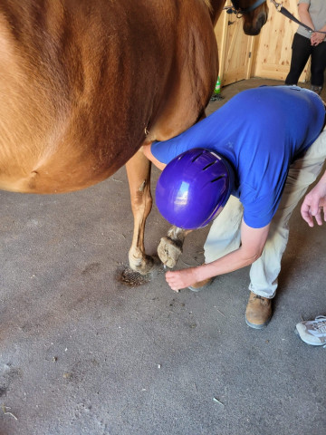 Organization Photo  (173133)