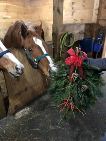 Organization Photo  (145603)