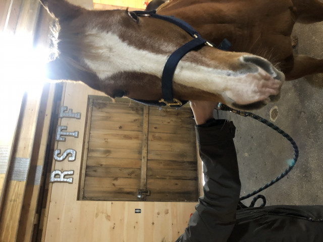 Organization Photo  (145618)