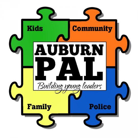 Organization Logo