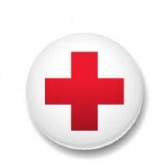 Organization Logo
