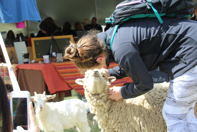 Organization Photo  (131348)