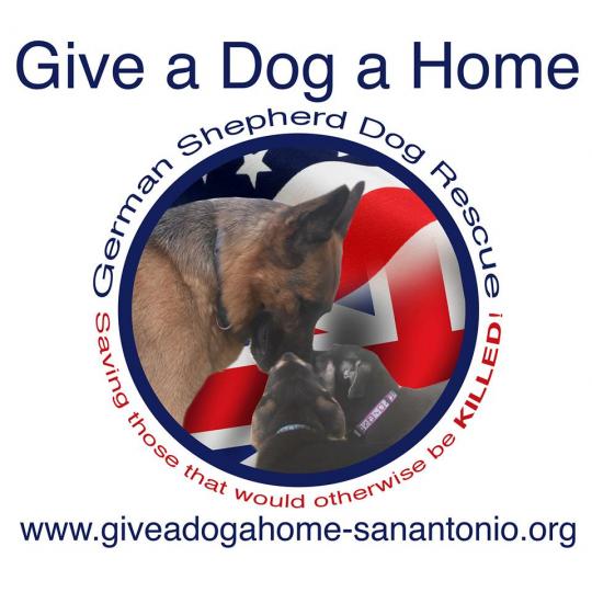 Organization Logo