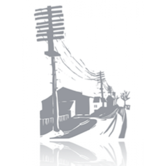 Organization Logo