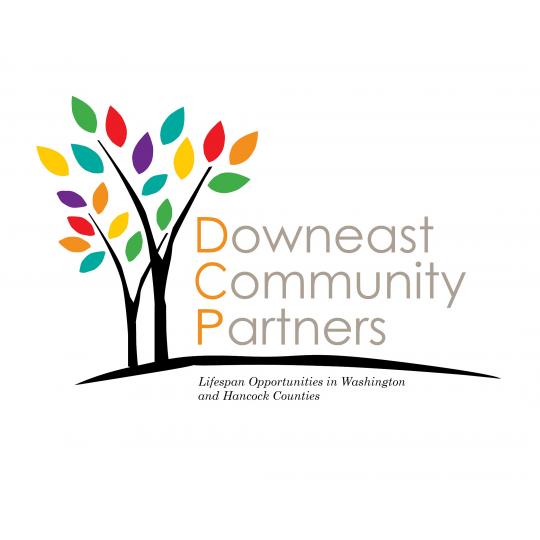 Organization Logo