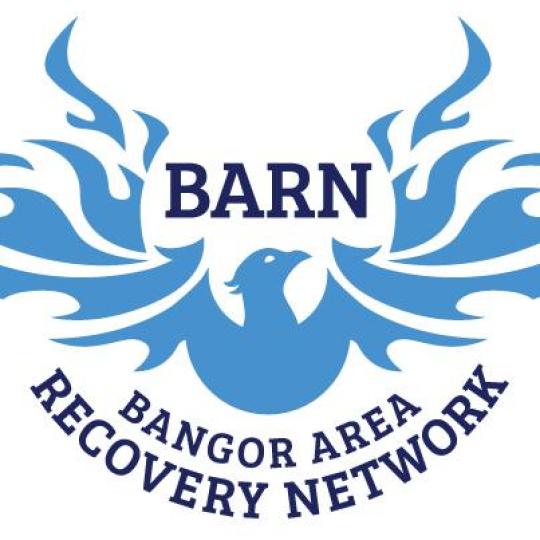 Organization Logo