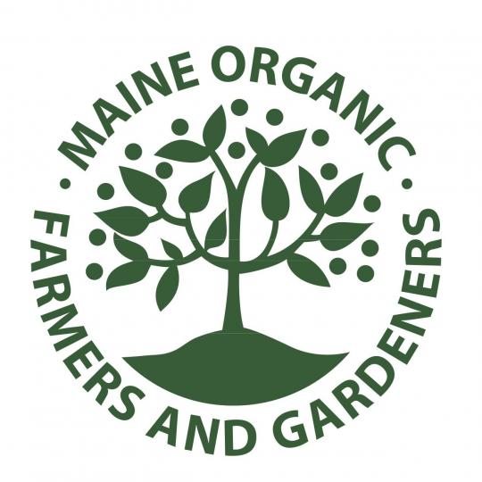 Organization Logo