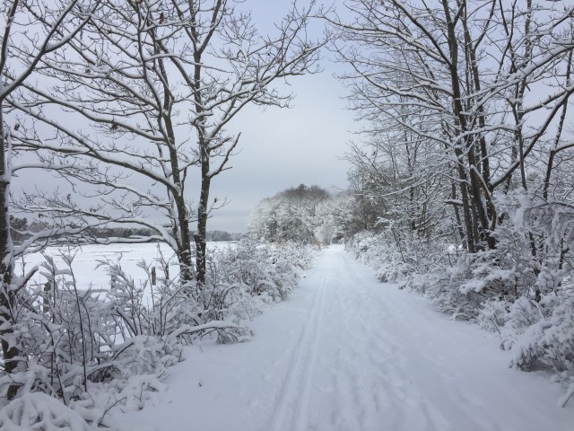 Organization Photo  (183706)