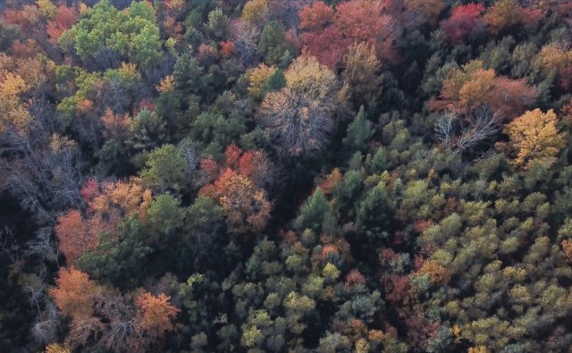 Organization Photo  (183705)