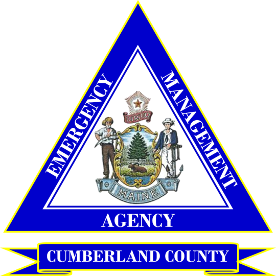 Organization Logo