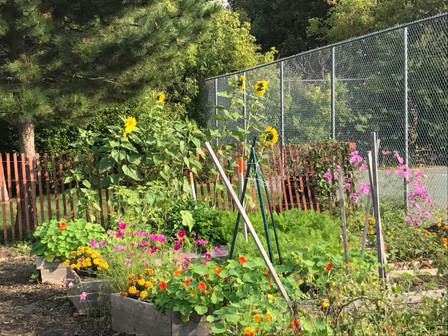 Organization Photo  (124440)