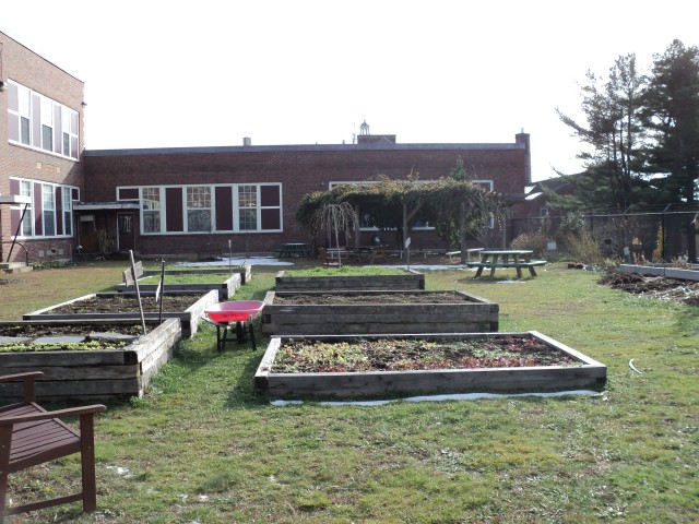 Organization Photo  (103688)