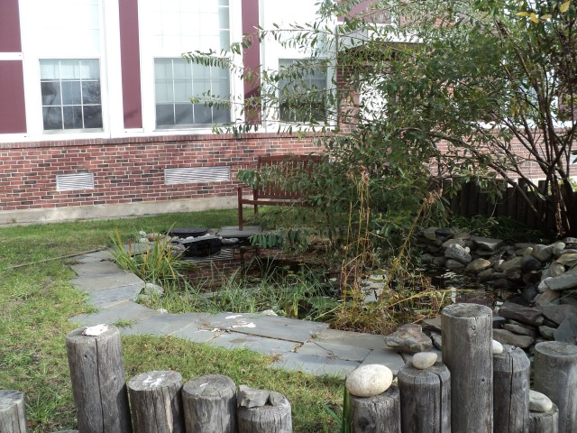 Organization Photo  (103689)