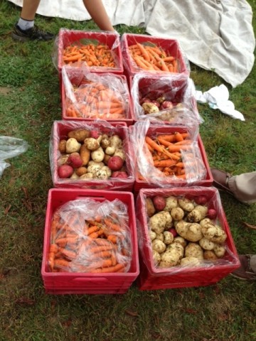 Organization Photo  (103684)