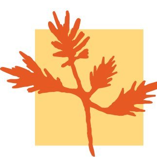 Organization Logo
