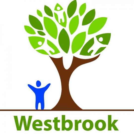 Organization Logo