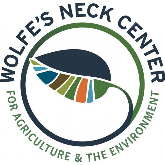 Organization Logo