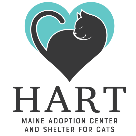 Organization Logo