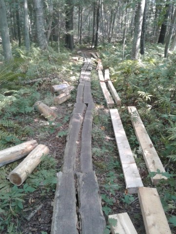 Organization Photo  (185442)