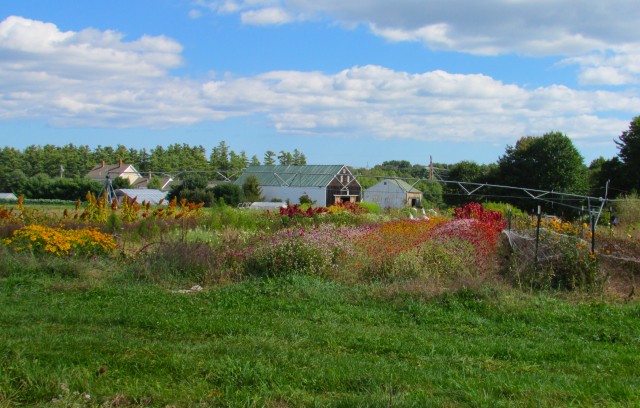 Organization Photo  (185441)