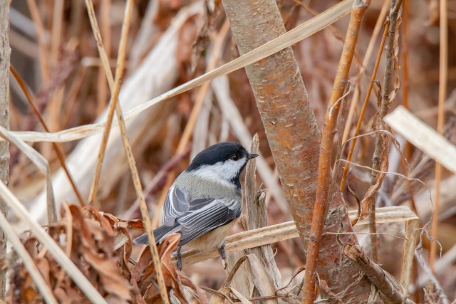 Organization Photo  (185440)