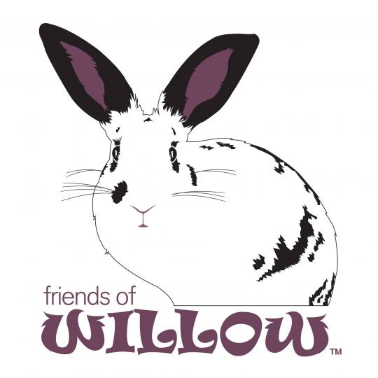 Organization Logo