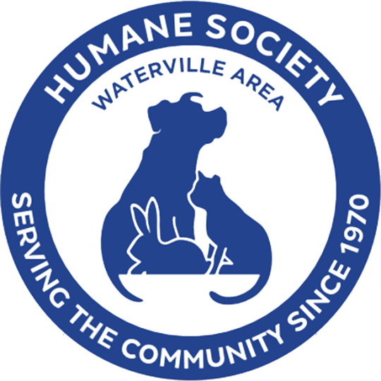 Organization Logo