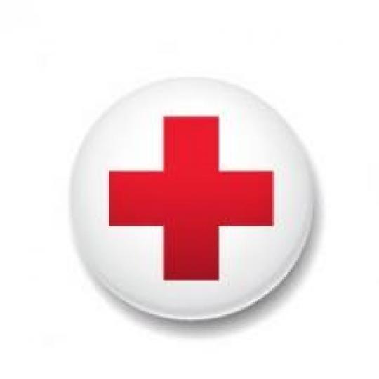 Organization Logo