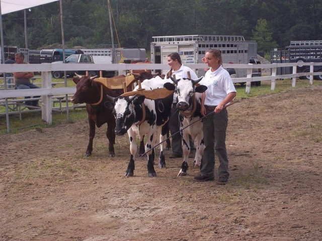 Organization Photo  (125067)