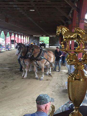 Organization Photo  (125066)