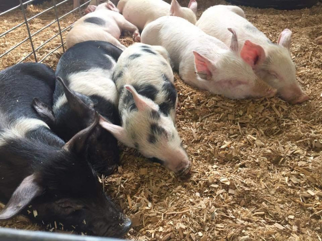 Organization Photo  (125065)