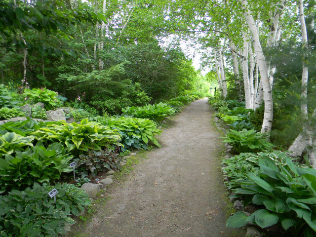 Organization Photo  (128131)