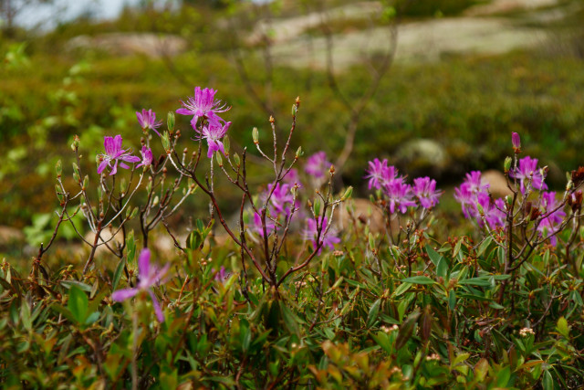 Organization Photo  (128133)