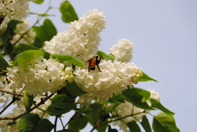 Organization Photo  (128132)