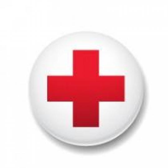 Organization Logo
